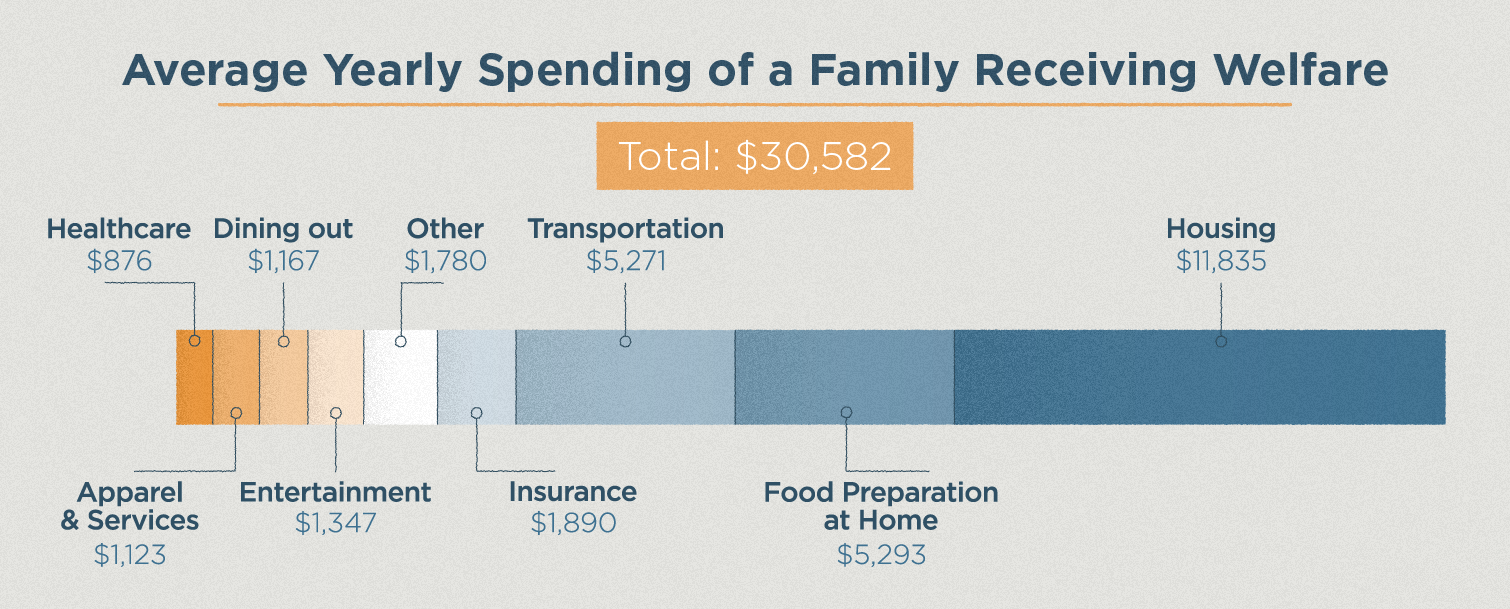 Welfare Distribution By Race Chart In America