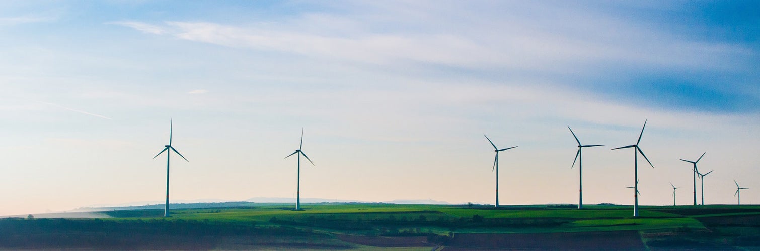 windmills on a plain