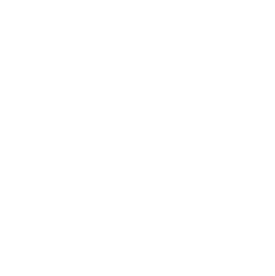 Alaska State Icon
