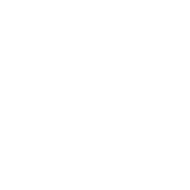 Arkansas Icon