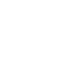 Connecticut State Icon