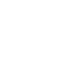Delaware State Icon