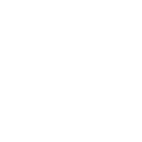 Florida State Icon