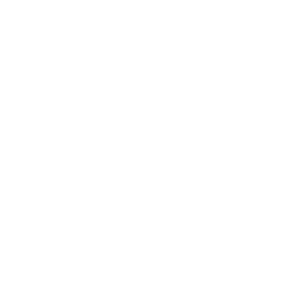 Georgia State Icon