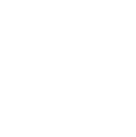 Hawaii State Icon