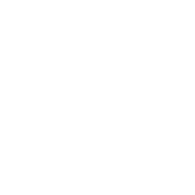 Idaho State Icon