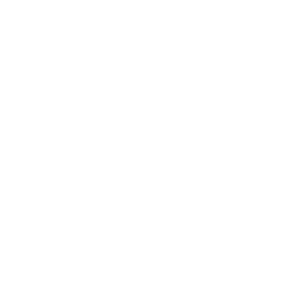 Indiana State Icon