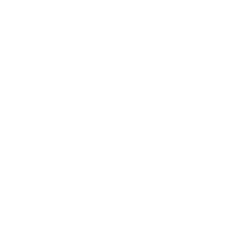 Louisiana State Icon