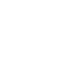 Massachusetts State Icon