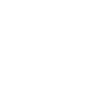 Minnesota State icon