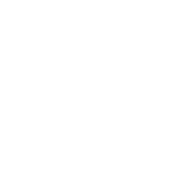 Mississippi State Icon