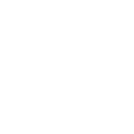 Montana State Icon