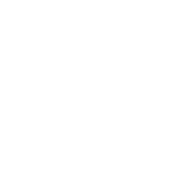 North Carolina State Icon