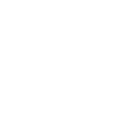 nebraska State Icon