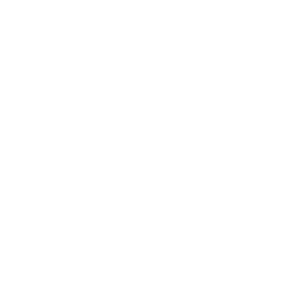 New Hamshire State Icon