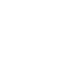New Jersey State Icon