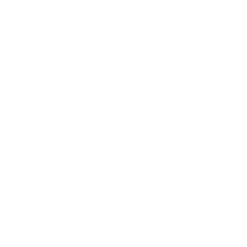 New Mexico State Icon