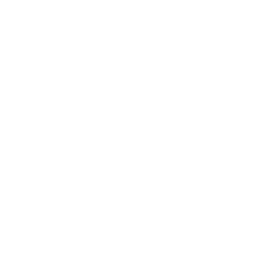 New York State Icon