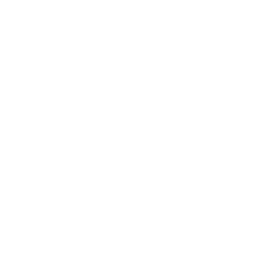Texas State Icon
