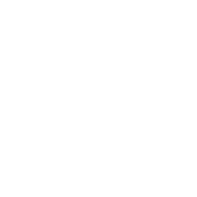 South Carolina State Icon