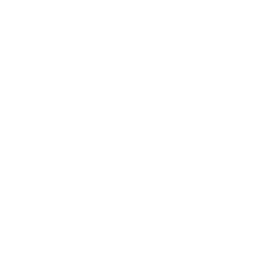 Tennessee State Icon