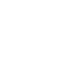 Texas State Icon