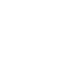 Virginia State Icon