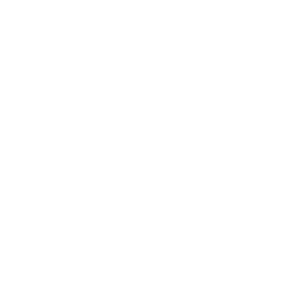 Vermont State Icon