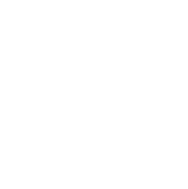 Wisconsin State Icon