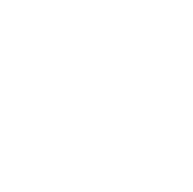 Wyoming State Icon