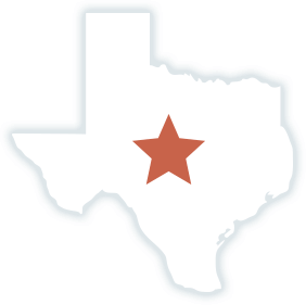 Texas State Icon