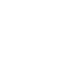 Connecticut State Icon