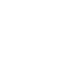 NV