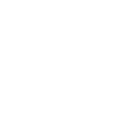 Tennessee State Icon