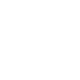 MICHIGAN STATE ICON